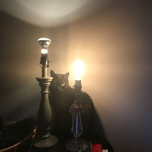 Meet your Posher, Isis